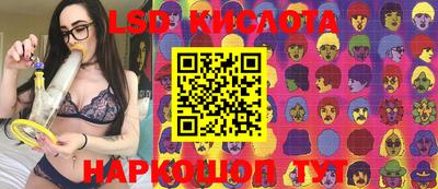 прущие крисы Кингисепп