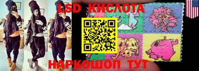 прущие крисы Кингисепп