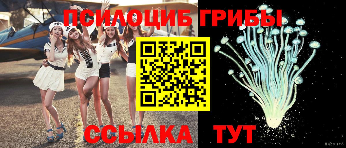 Сызрань  Псилоцибиновые грибы прущие грибы  даркнет сайт  Вход с VPN  Псилоцибиновые грибы GOLDEN TEACHER 